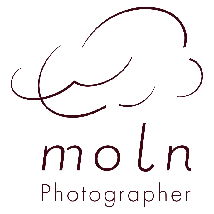 豊橋でニューボーンフォト撮るなら、moln（モルン）